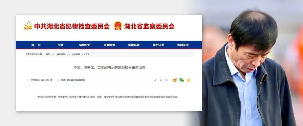 担任Mediaset解说嘉宾的意甲前裁判切萨里表示：“他会被至少禁赛2场，至少2场。